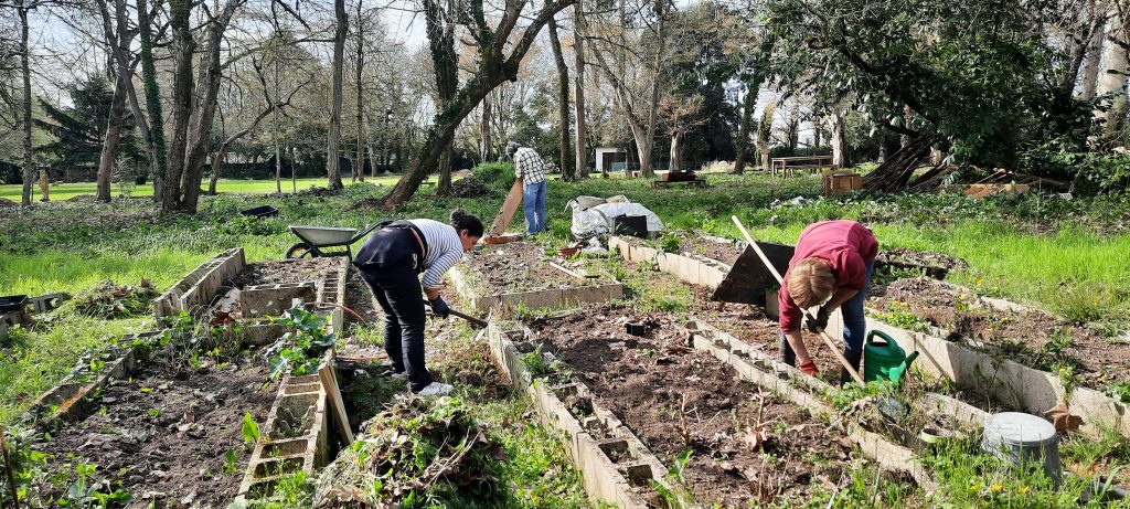 Jardinage collaboratif